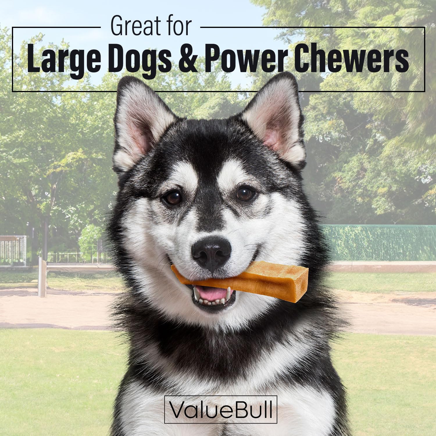 Premium Himalayan Yak Cheese Dog Chews - Extra Large 10lb Bulk Pack for Aggressive Chewers | All-Natural, Healthy & Safe Low-Odor Treats | Made in Nepal with Yak Milk | Perfect for Training, Dental Health & Long-Lasting Chewing Satisfaction