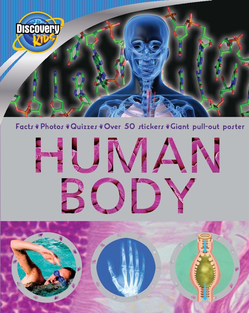 Discovery Kids Human Body Model - Educational STEM Toy for Kids Ages 6-12 | Learn Anatomy & Biology | Perfect for Classroom, Homeschool & Science Projects