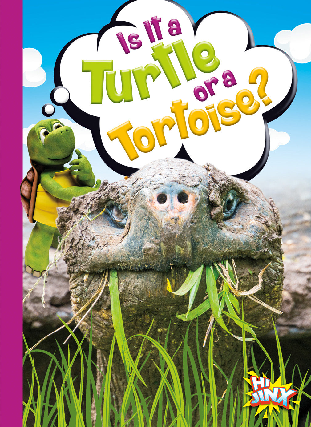 Turtle vs Tortoise: Key Differences Explained | Pet Care & Habitat Guide