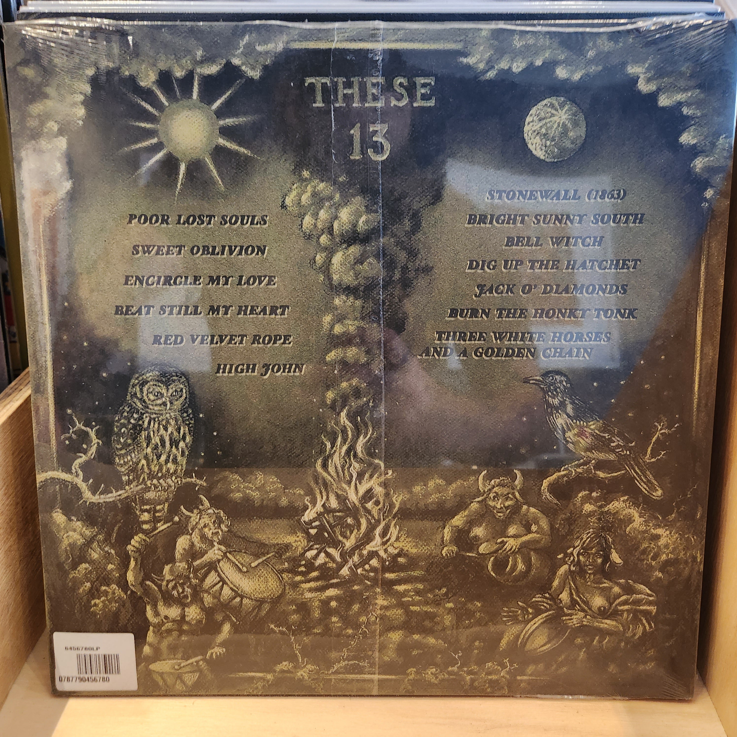 Jimbo Mathus & Andrew Bird - These 13 (Dark Grey Indie Exclusive Vinyl LP) | Limited Edition Indie Record Store Exclusive | Perfect for Vinyl Collectors & Indie Music Fans