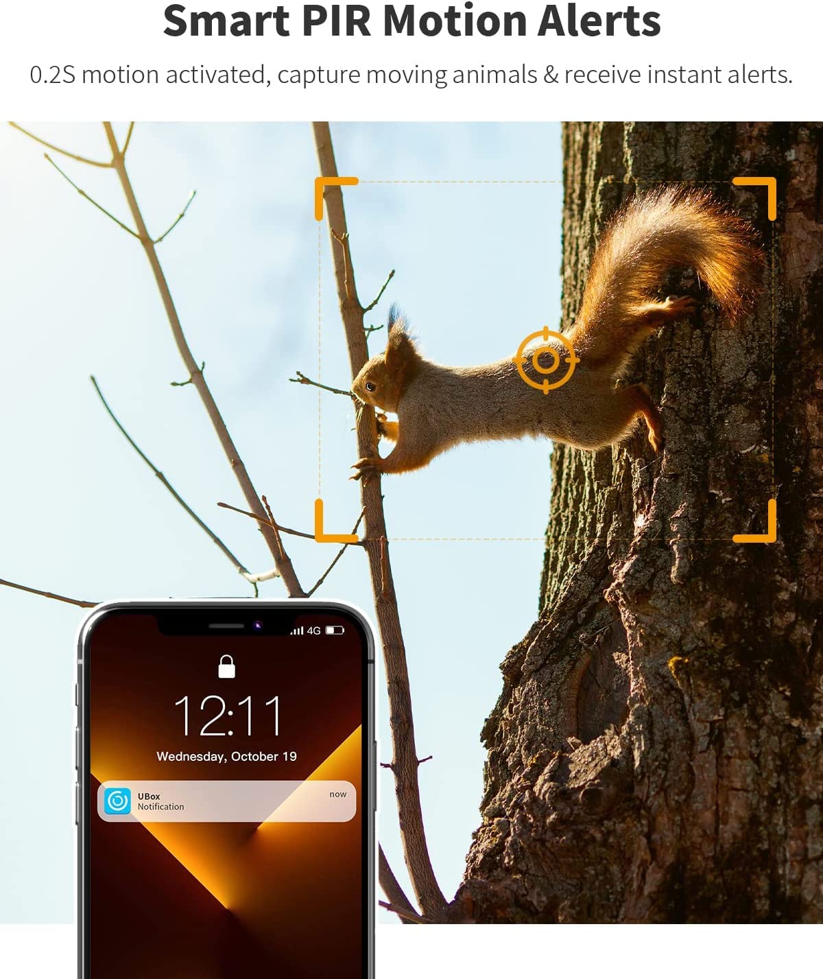 Ebitcam 4G LTE Cellular Trail Camera with SD & SIM Card (Verizon/AT&T/T-Mobile) - No WiFi Needed, 2K Live Video & Playback on Phone, 360° Full View, Motion Activated Game Camera with Night Vision - Ideal for Wildlife Monitoring, Hunting, and Outdoor Security