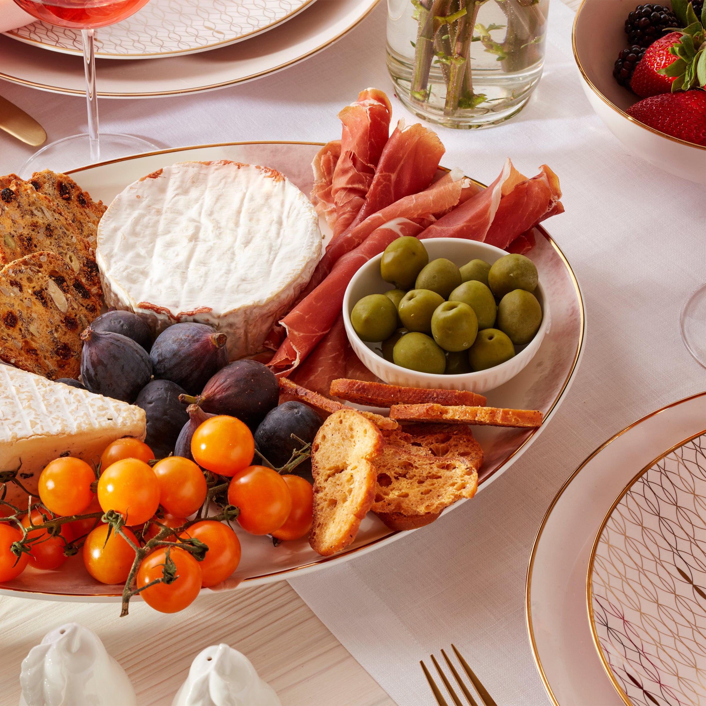 Trianna Salaria Elegant Porcelain Dinner Plates Set of 6 - Fine China for Formal Dining, Wedding Registry & Holiday Entertaining