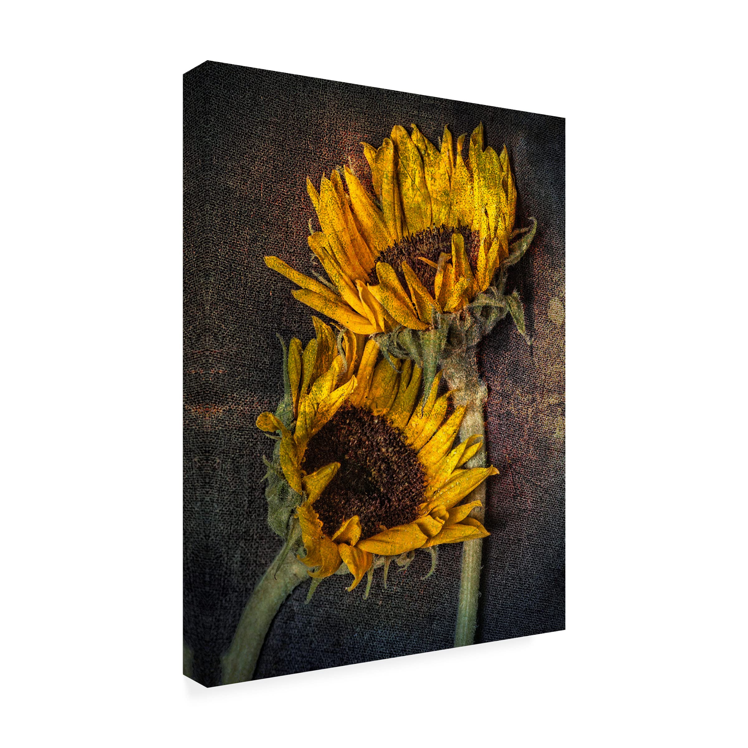 Trademark Fine Art 'Sunflowers' Canvas Wall Art by Lori Hutchison - Perfect for Living Room, Bedroom & Office Decor
