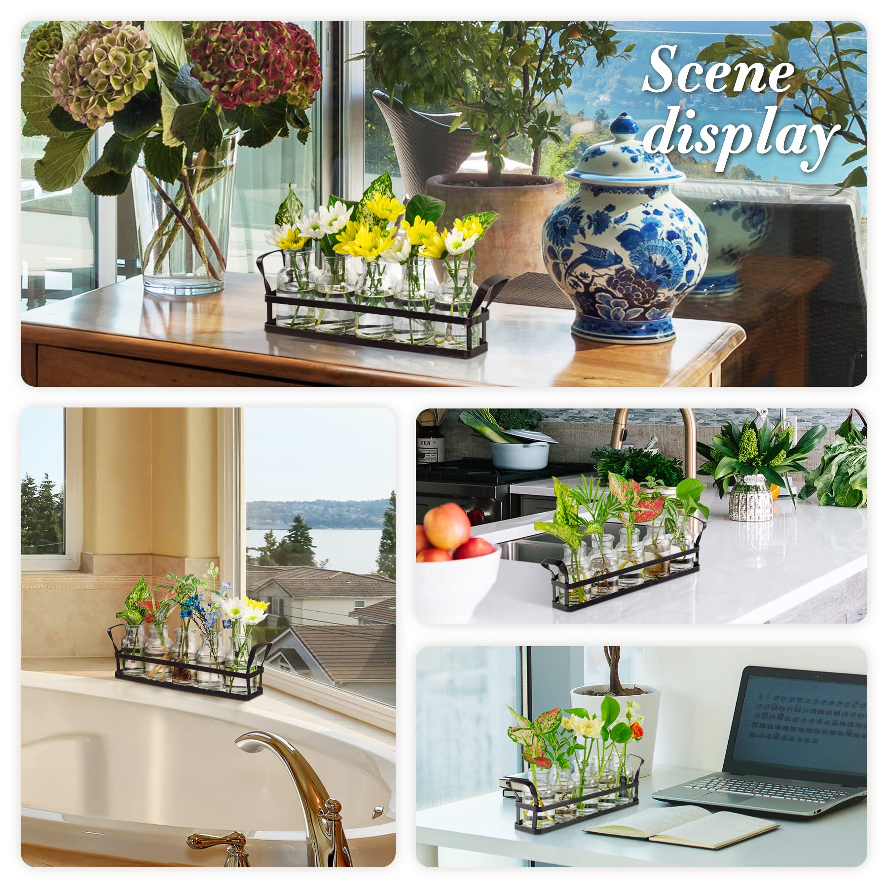 Jkwokback Propagation Station - Glass Terrarium Planter with Stand for Air Plants, House Plants & Hydroponics | Indoor Home, Office & Garden Decor for Plant Lovers | Perfect for Windowsills, Desks & Shelf Displays