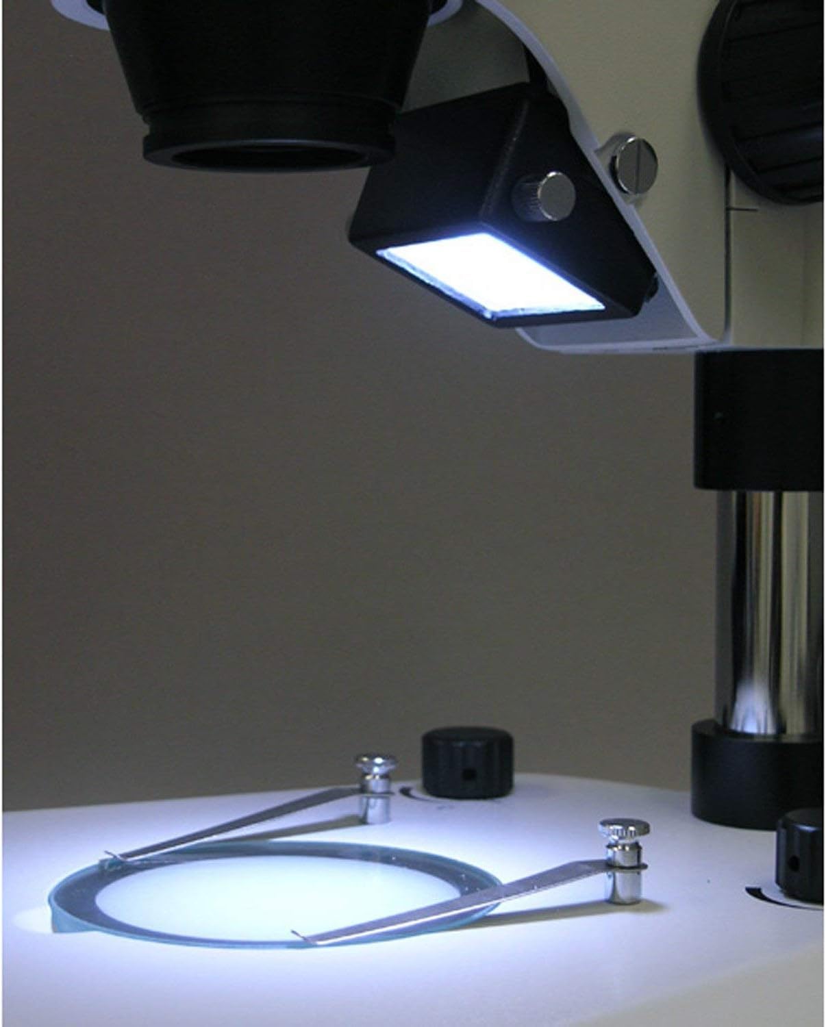 AmScope TS130-LED Professional LED Illuminated Microscope with Adjustable Table Stand - Perfect for Lab Research, Classroom Education & Hobbyist Use