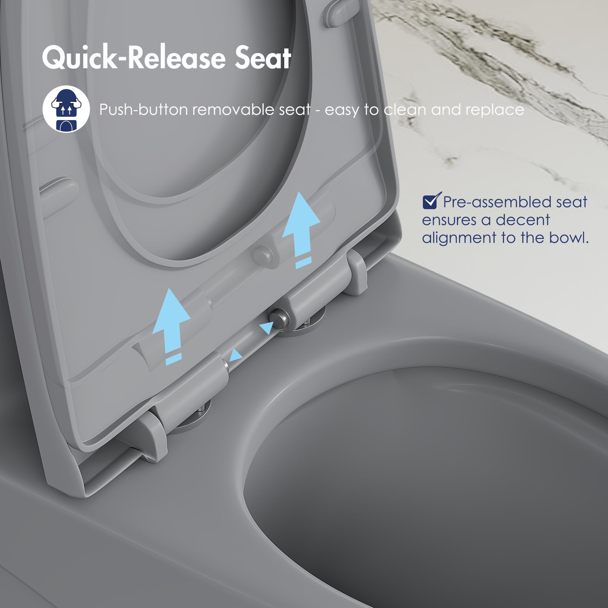 Eridanus Elongated One Piece Toilet - Powerful Siphon Dual Flush 1.1/1.6 GPF, 12