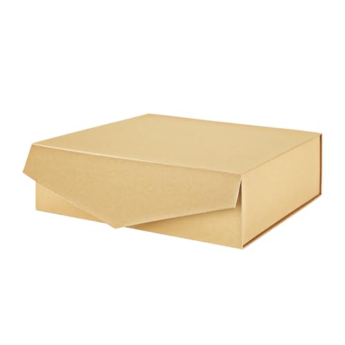 13.5x9x4.1 Inch-Kraft-Pack of 1