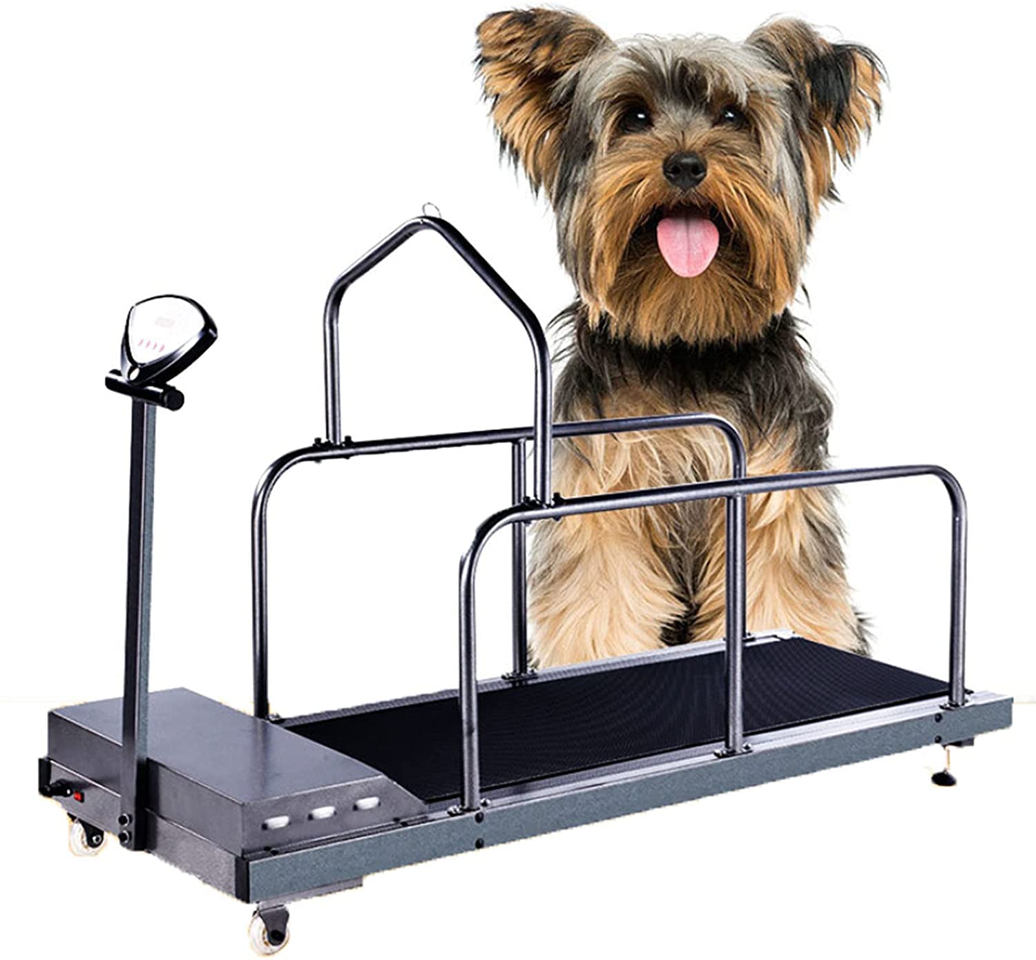 Dog Treadmill for Large Pets - 200 LBS Capacity - Indoor Dog Exercise Machine for Home Training