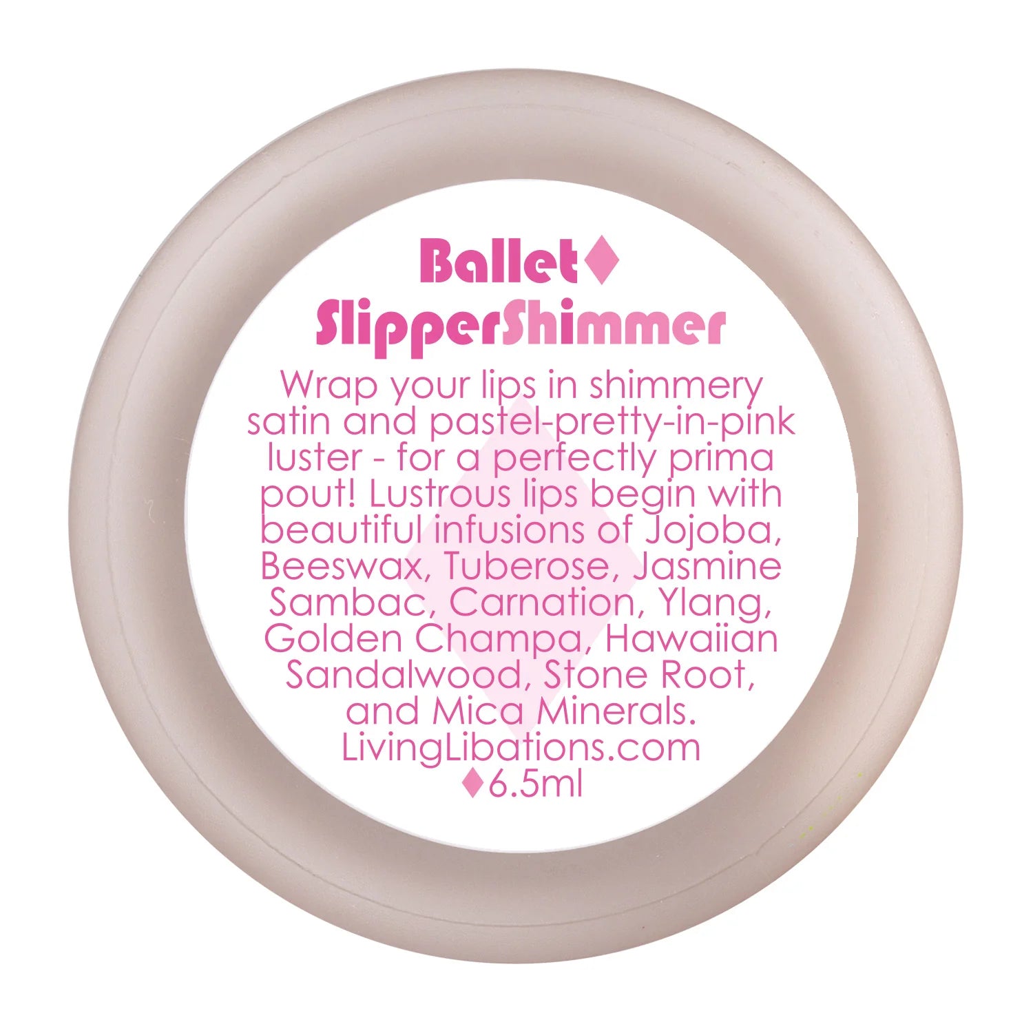 Sparkly Ballet Slippers for Women - Comfortable Dance Shoes with Shimmer Finish - Perfect for Ballet Class, Recitals & Dance Performances