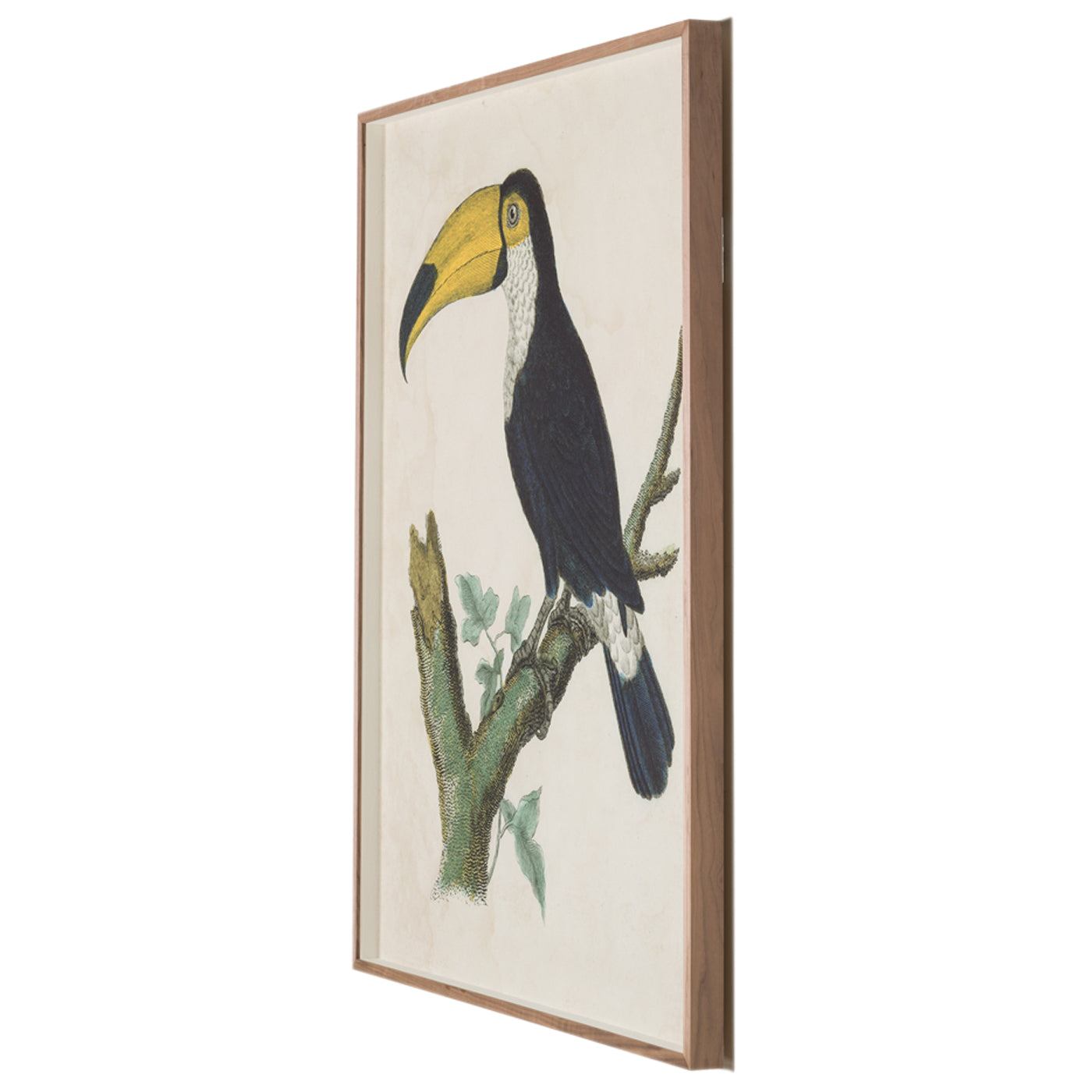 Barraband Toucans - Exotic Bird Figurines for Home Decor & Collectibles | Perfect for Tropical Theme Parties & Gift Giving