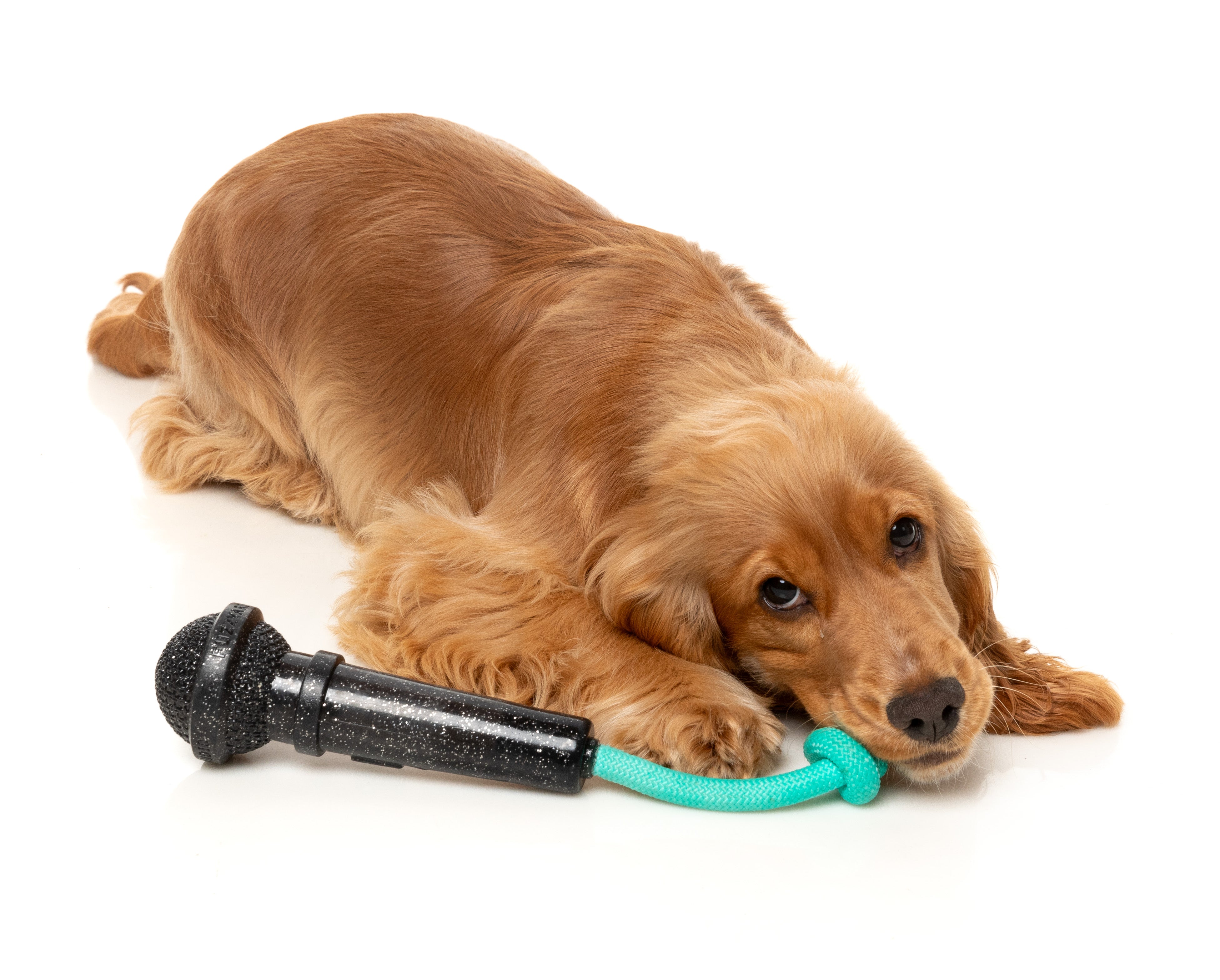 Fuzzyard Interactive Treat Dispensing Dog Chew Toy - Durable Pet Puzzle Feeder for Small & Large Dogs - Fun Mental Stimulation & Teeth Cleaning - Perfect for Indoor Play, Training Rewards, and Boredom Relief