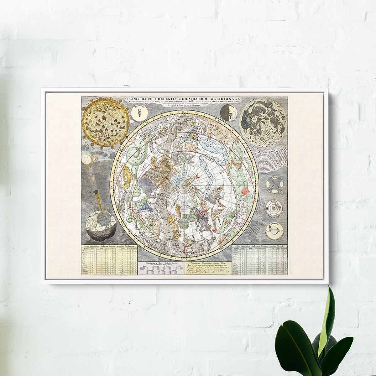 Grey Astrology Wall Art Canvas Print - Modern Zodiac Sign Decor for Home, Office & Bedroom