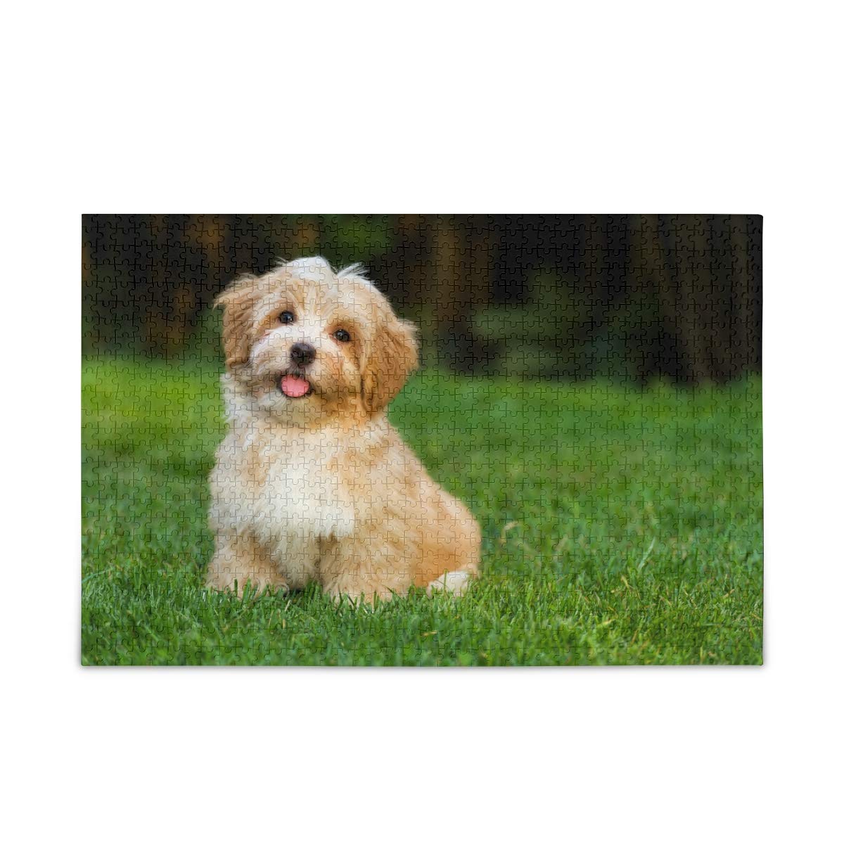 500 & 1000 Piece Jigsaw Puzzles for Adults & Teens - DIY Artwork Puzzle Games with Puppy Dog Design - Perfect for Family Game Night, Stress Relief & Home Decor
