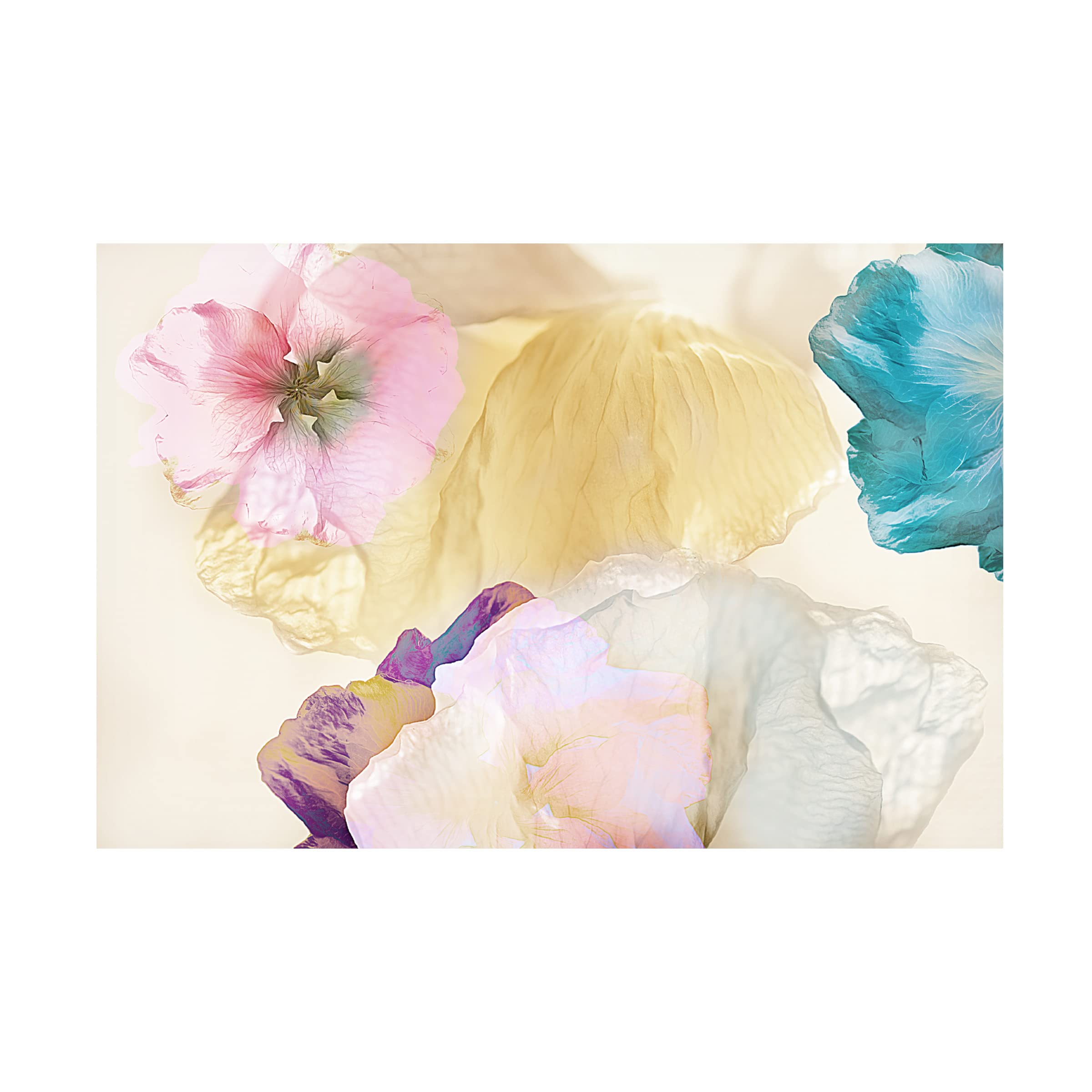 Ludmila Shumilova 'Ethereal Flowers' Canvas Wall Art Print - Floral Home Decor for Living Room, Bedroom & Office - Trademark Fine Art Collection