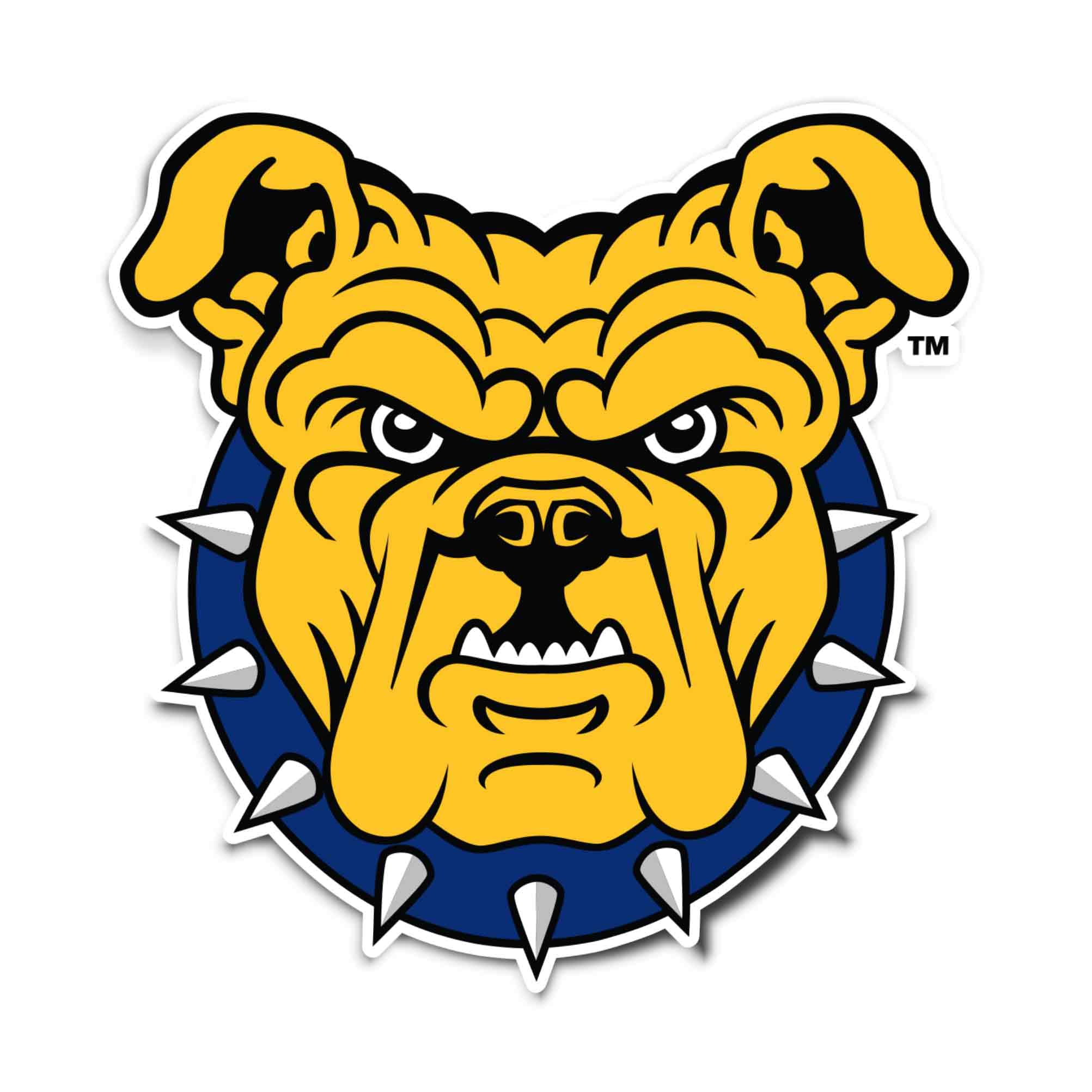 Desert Cactus NC A&T State University Sticker - HBCU Aggies Vinyl Decal for Laptop, Water Bottle, Car & Scrapbook - Durable Waterproof Decorative Sticker for College Pride, School Spirit & Gifts (IND 05)