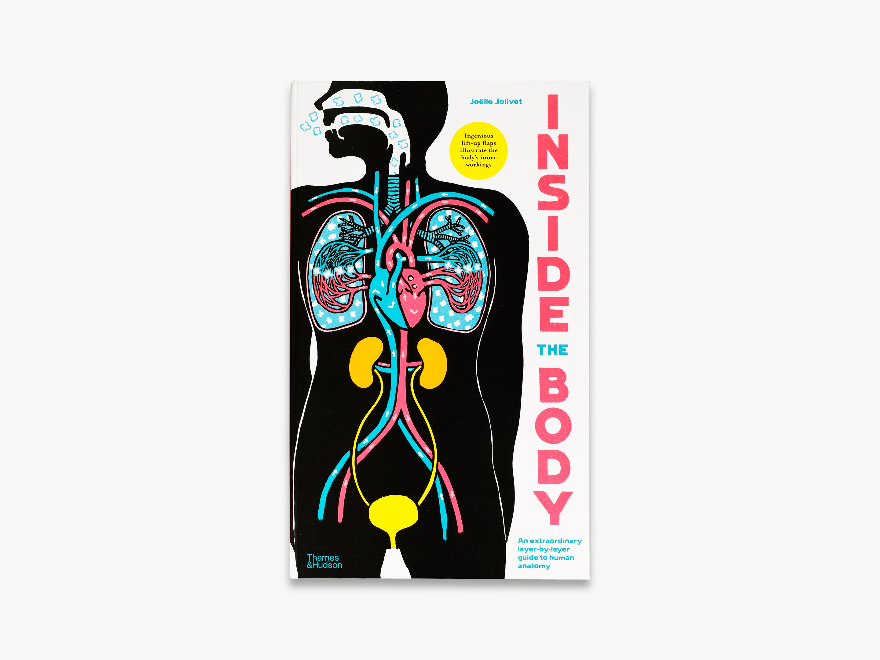 Inside the Body - Human Anatomy Model for Medical Students & Educators | Perfect for Classroom Learning & Home Study