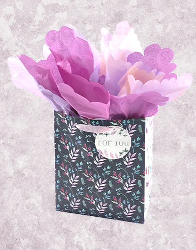 Allison Studio Premium Gift Bags - Elegant Party Favor Bags for Weddings, Baby Showers & Birthday Celebrations | Perfect for Gift Wrapping & Special Occasions
