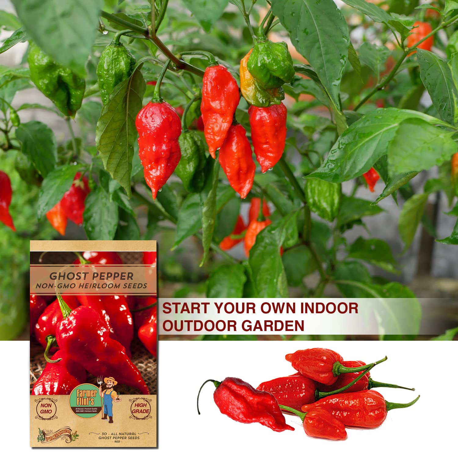 **Ghost Pepper Seeds (Naga/Bhut Jolokia) – Non-GMO Heirloom Seeds for Planting – Super Hot & Spicy Chili – Pack of 30 – Perfect for Home Gardening, Hot Sauce Making, and Culinary Experiments**