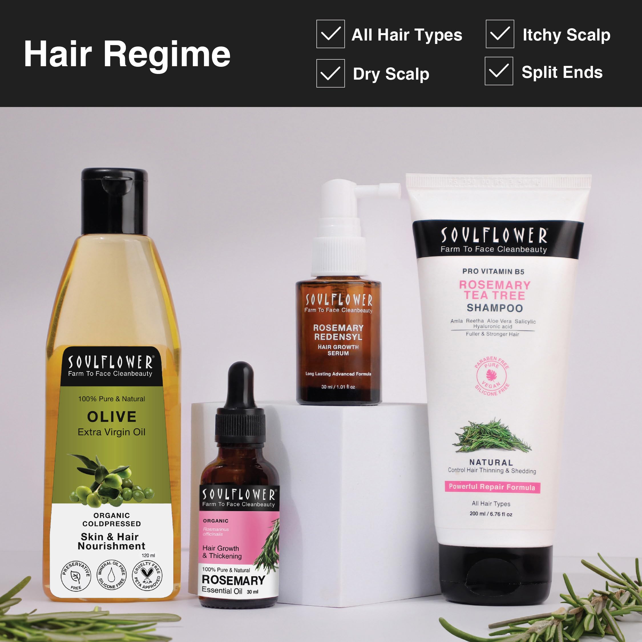 Soulflower 100% Pure Cold-Pressed Olive Oil for Hair Growth & Repair - Anti Hair Fall, Strengthens & Moisturizes Hair, Reduces Fine Lines & Wrinkles - Natural Makeup Primer (120ml) - Perfect for Daily Hair Care & Skin Hydration