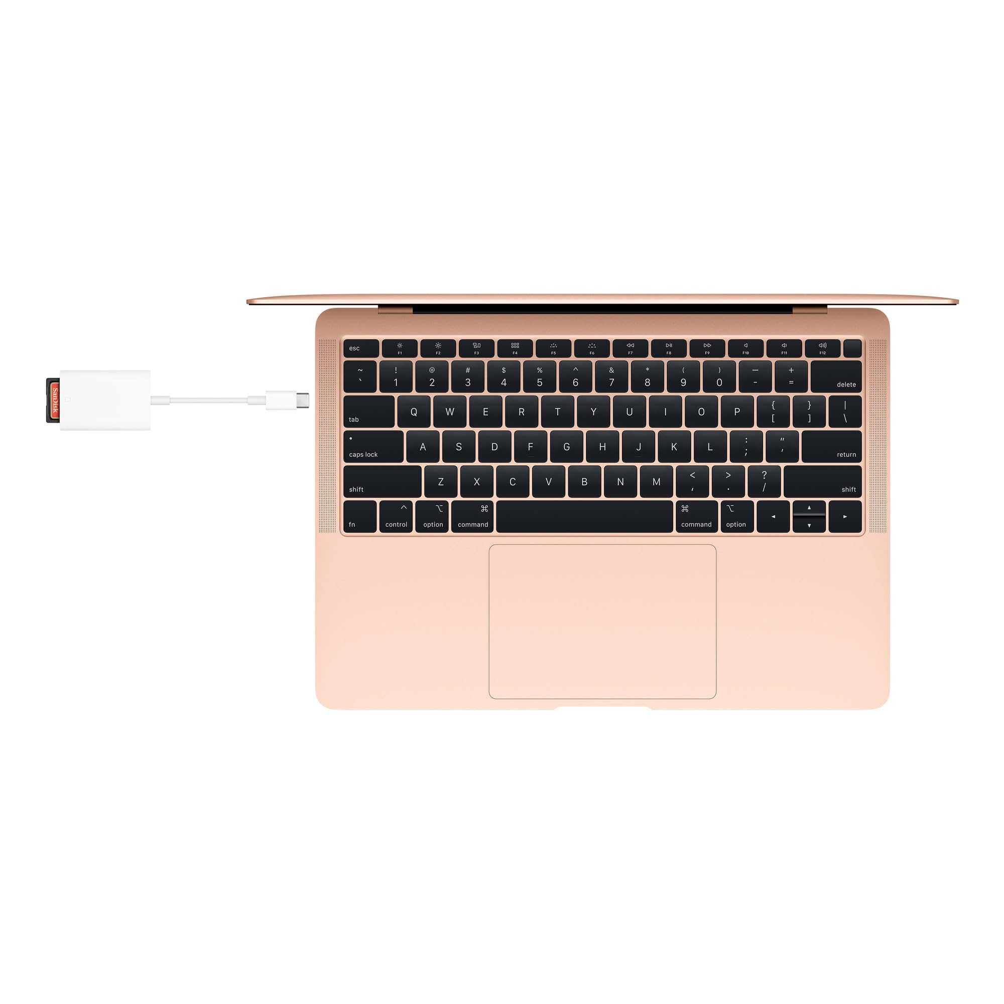 Apple USB-C to SD Card Reader - High-Speed Data Transfer for MacBook, iPad Pro, and More - Perfect for Photographers, Videographers, and Content Creators