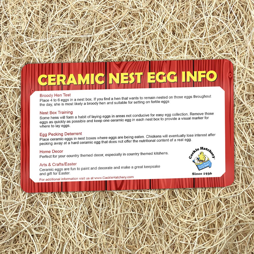 Premium Ceramic Nest Eggs - Set of 6 White Fake Chicken Eggs for Poultry Training, Farm Decor & Easter Decorations - Perfect for Chicken Coops, Farmhouse Decor & Spring Centerpieces
