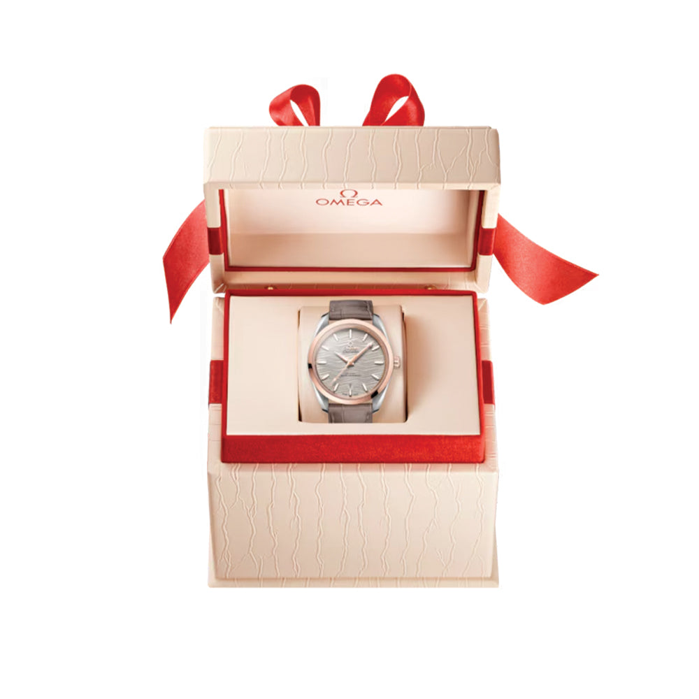 Omega Seamaster Aqua Terra 150M Co-Axial Master Chronometer Men's Watch - 38mm Steel & Sedna™ Gold Case, Silver Dial, Leather Strap - Luxury Dress Watch for Business & Formal Occasions