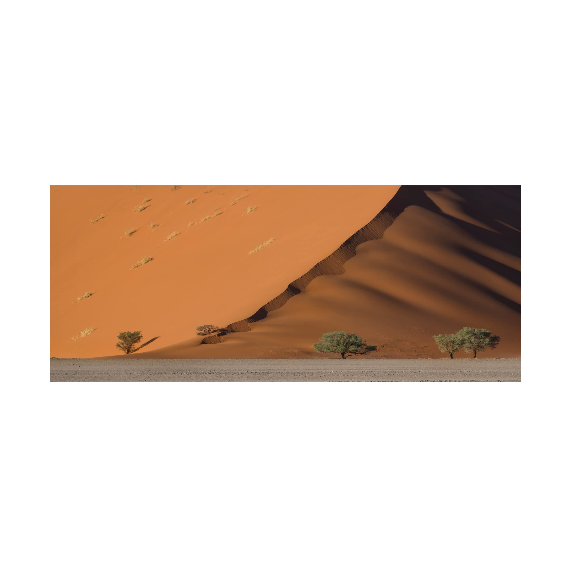Roberto Marchegiani Dune Canvas Art Print - Stretched Framed Wall Decor for Living Room, Bedroom & Office - Famous Movie Inspired Landscape Painting