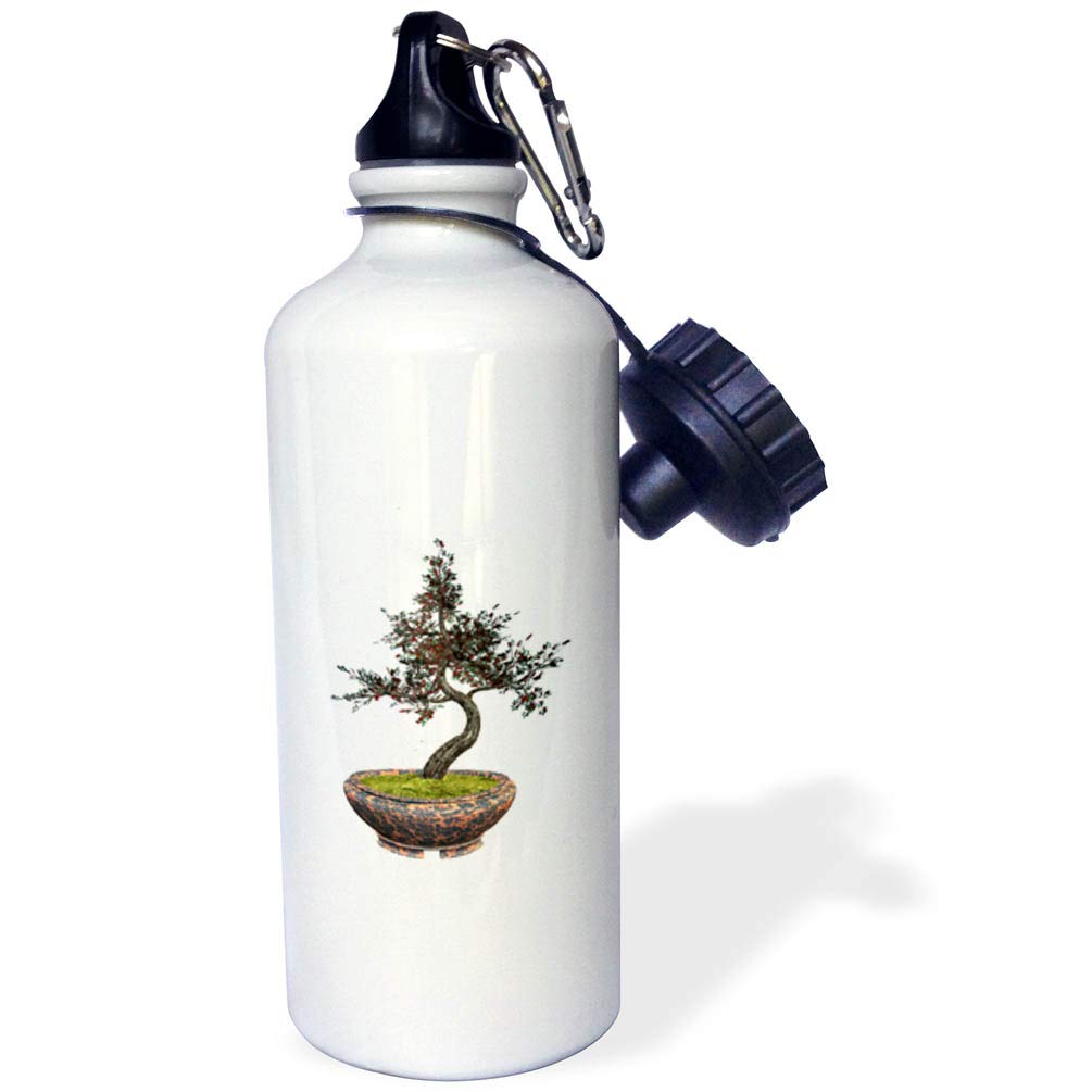 3D Rose Cherry Bonsai Tree Sports Water Bottle - 21oz Insulated Stainless Steel, Leak Proof, Multicolor - Perfect for Gym, Hiking, Travel & Outdoor Activities