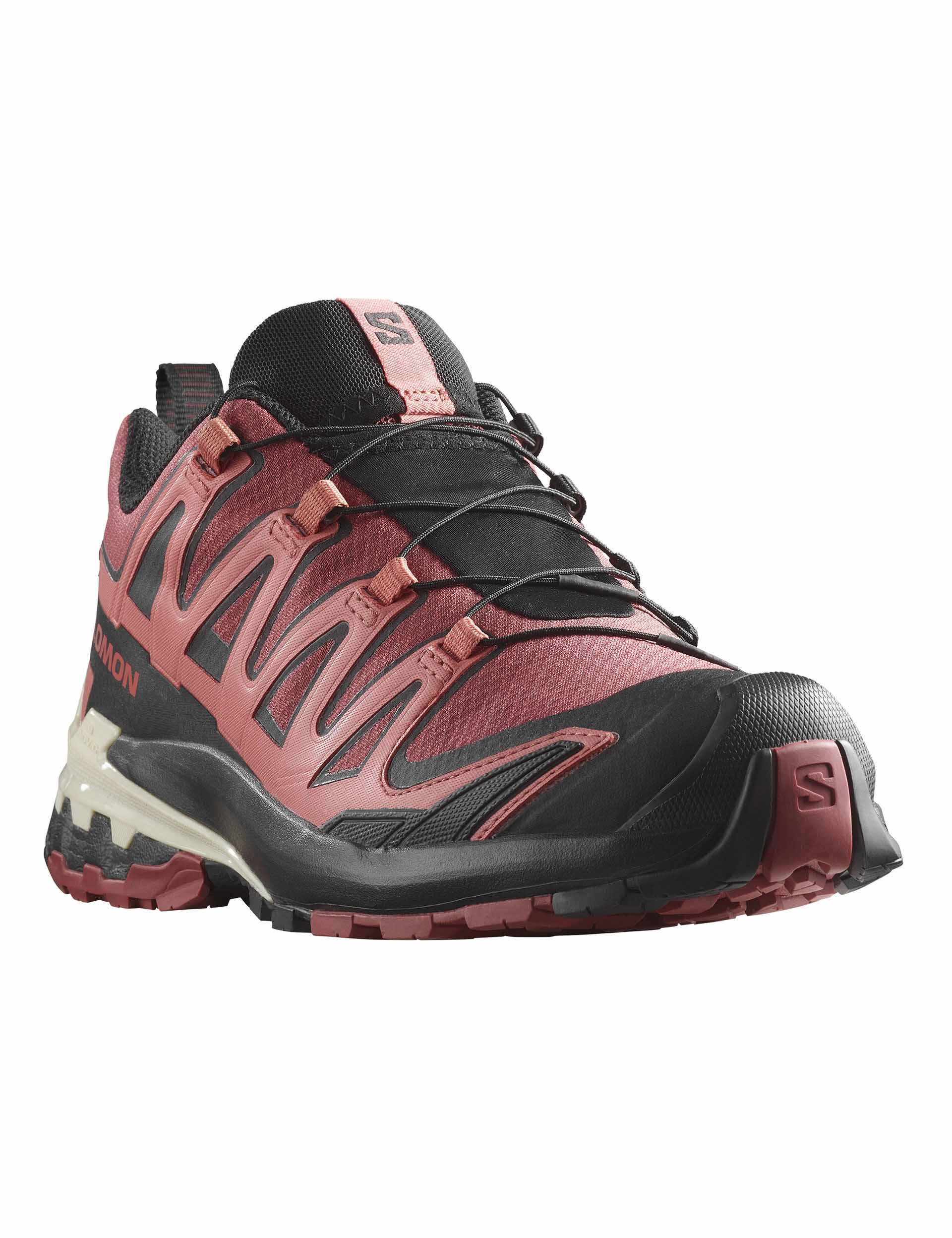 Salomon XA Pro 3D V9 Gore-Tex Trail Running Shoes - Cow Hide/Black/Faded Rose - Waterproof Hiking & Outdoor Adventure Footwear for Men & Women