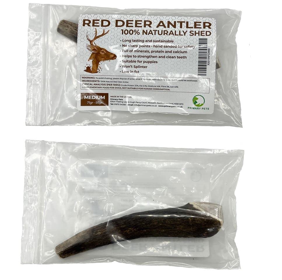 **Premium Naturally Shed Deer Antlers for Dogs – Medium Size, Sustainable & Safe Dog Chew Toy – Long-Lasting Dog Treat for Aggressive Chewers – Ideal for Teething, Dental Health & Boredom Relief**