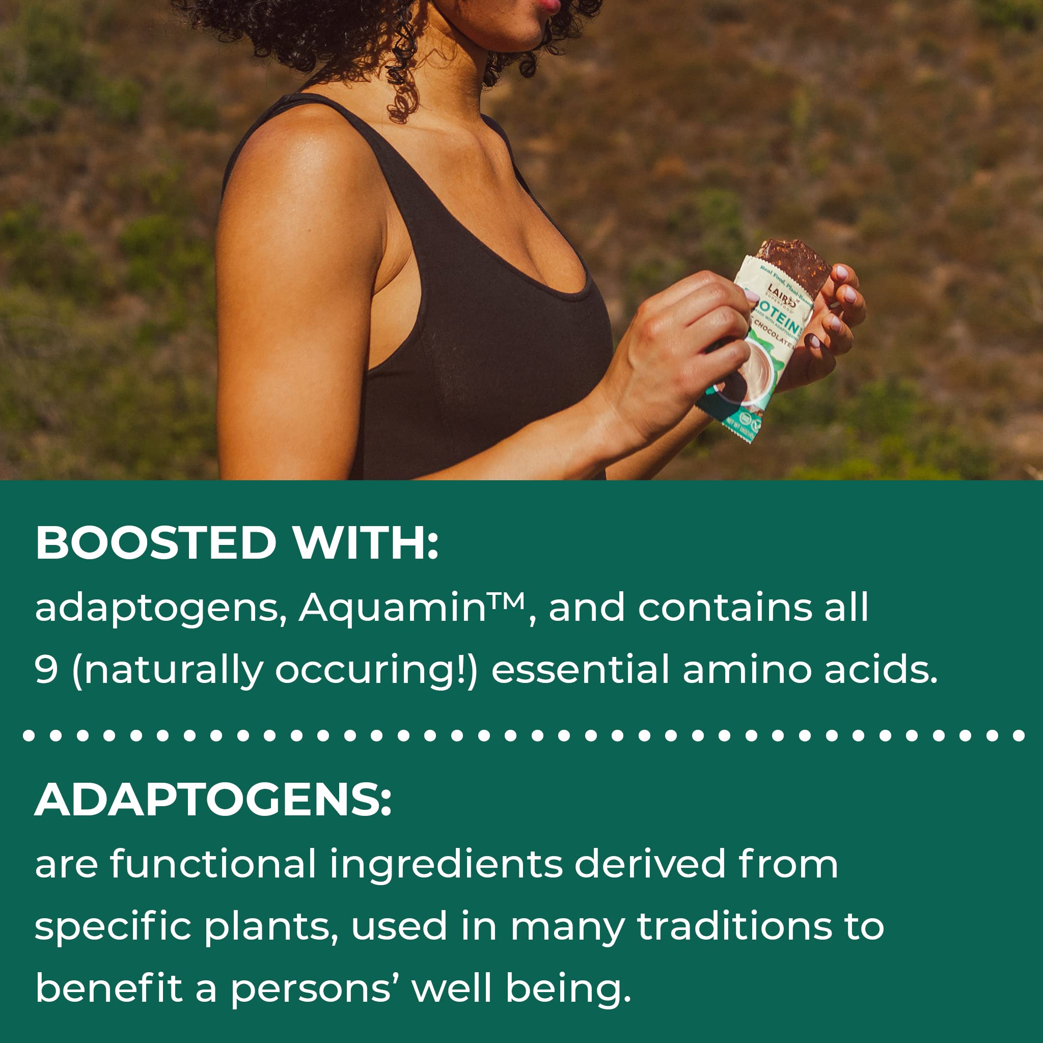 Laird Superfood Functional Protein Bars - 10g Plant-Based Protein, 6g Fiber, Non-GMO, with Real Ingredients & Functional Mushrooms - Mint Chocolate Flavor (10 Count Pack) - Perfect for Post-Workout Recovery, Healthy Snacking & On-the-Go Nutrition