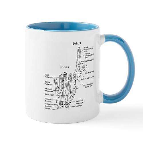 White/Blue Inside - Hand Anatomy Mugs