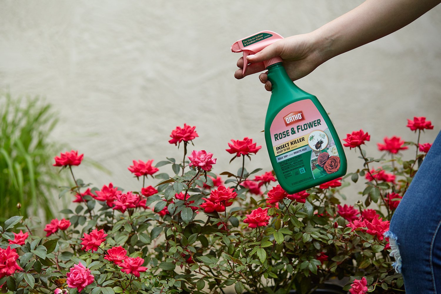 Ortho Rose & Flower Insect Killer Spray - 24 oz | Effective Pest Control for Roses, Flowers & Garden Plants | Indoor & Outdoor Use