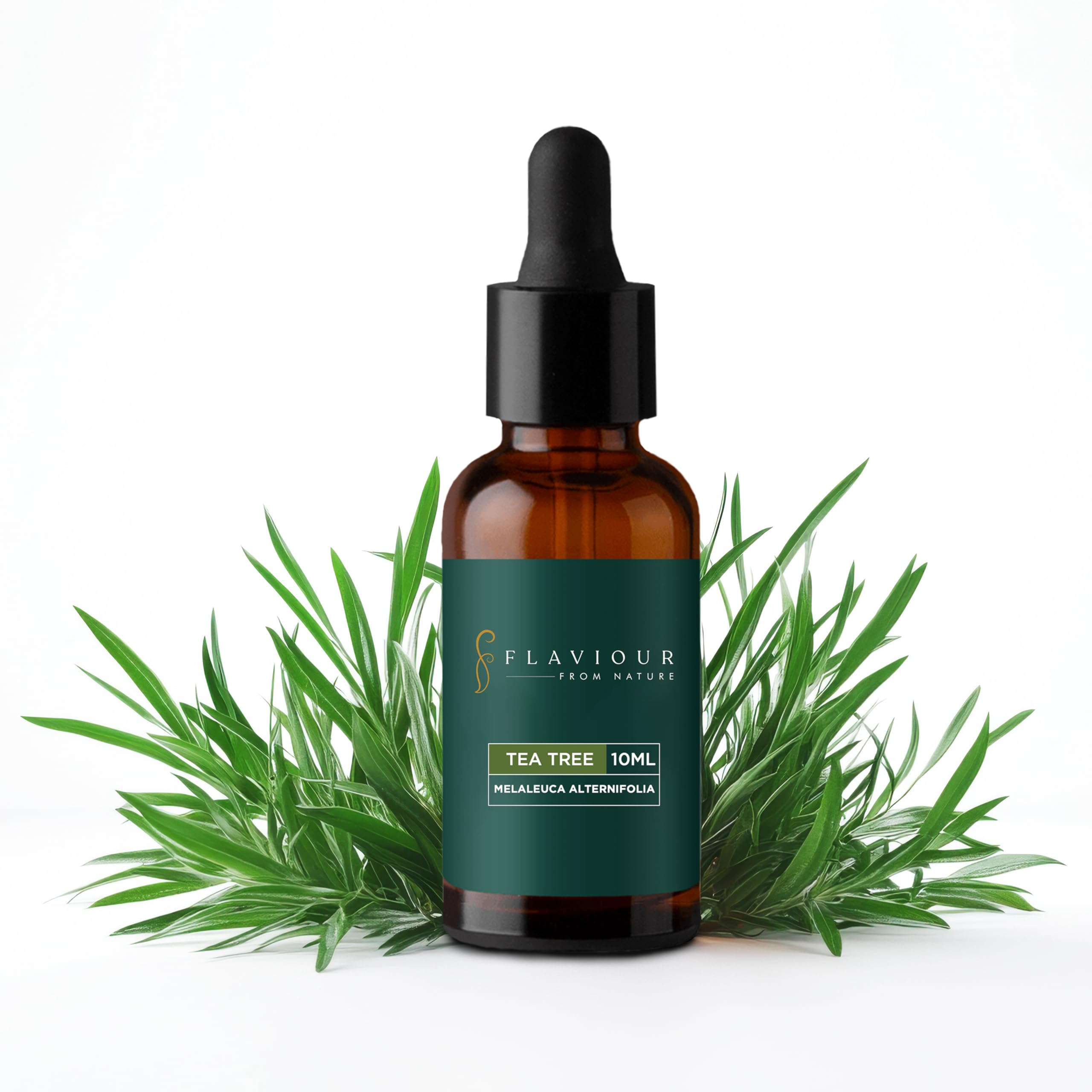 100% Pure Natural Tea Tree Essential Oil for Skin, Hair & Acne Care - Moisturizing, Cleansing & Dandruff Treatment - Promotes Sleep & Relaxation - 10ml Bottle - Perfect for Aromatherapy, Massage & DIY Beauty Products