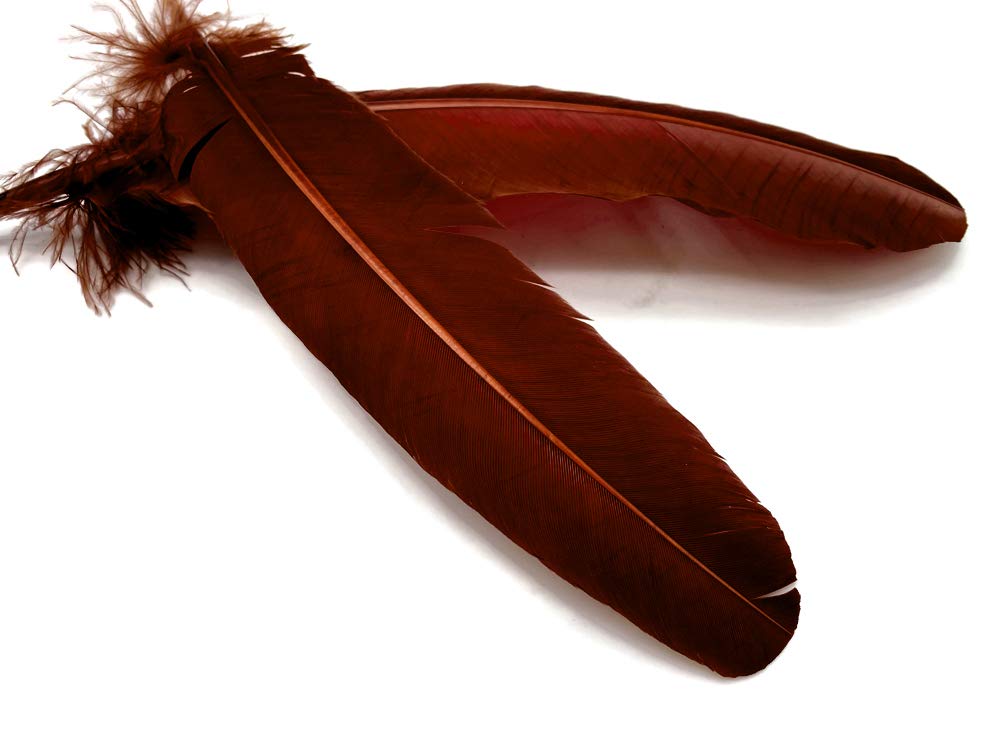 1 Lb. Wine Brown Turkey Tom Rounds Secondary Wing Quill Feathers Bulk - Halloween Craft Supplies, DIY Costume Accessories, Dreamcatcher Making | Moonlight Feather
