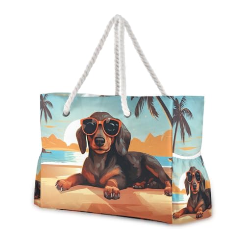 Dachshund 1