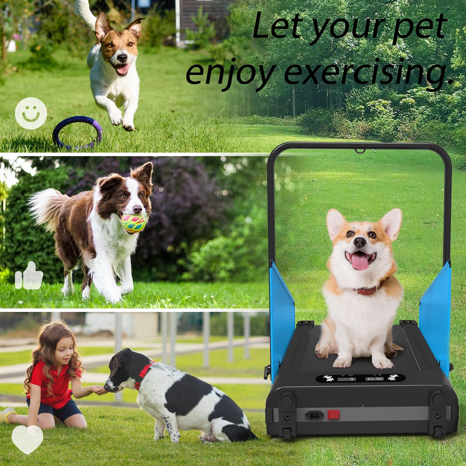Small & Medium Dog Treadmill with Remote Control - Indoor Pet Exercise Machine for Training, Running & Fitness - Includes Pre-Set Programs for Home Use & Rehabilitation