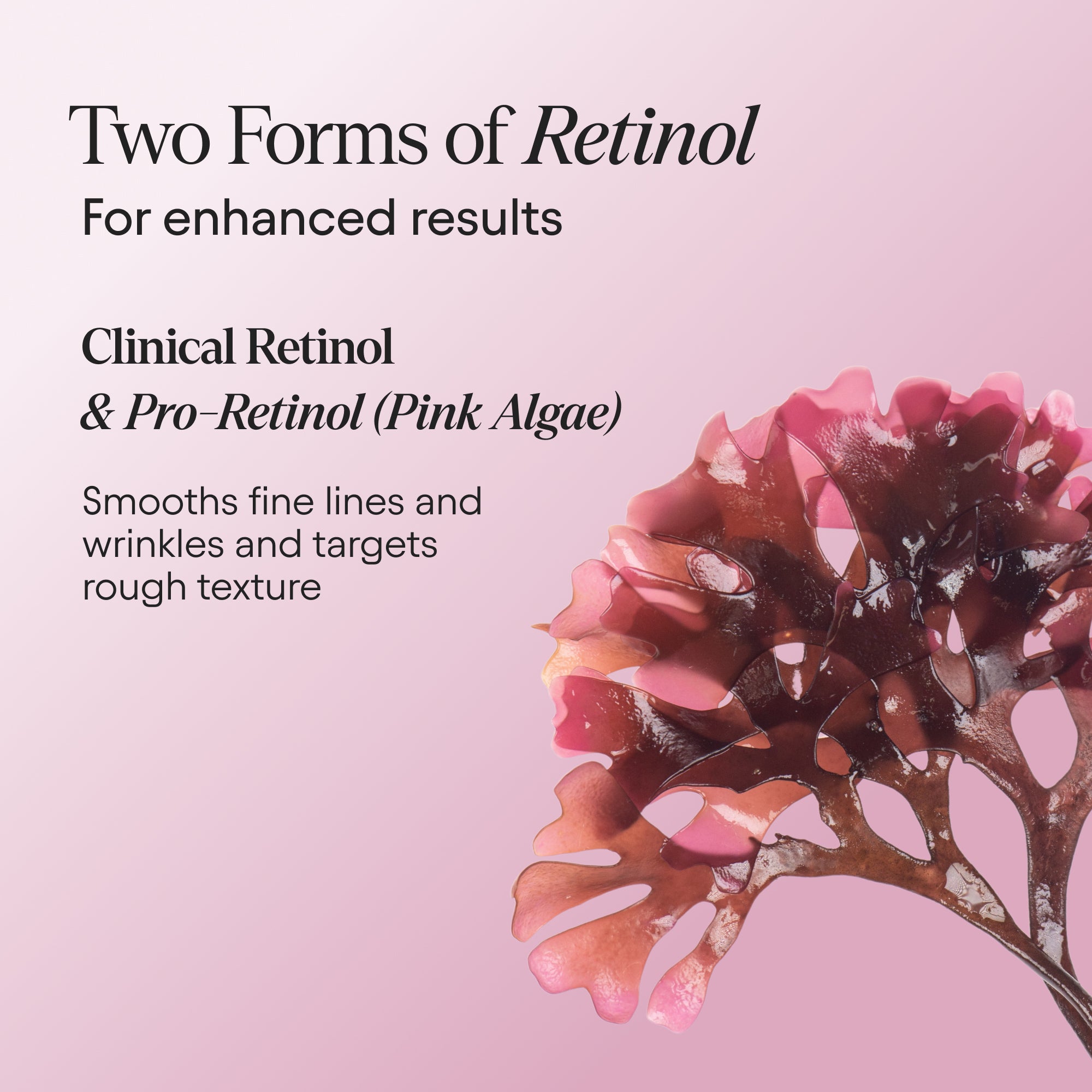 Clarifying Facial Oil with Retinol & Pink Algae - Anti-Aging, Brightening & Hydrating Skincare for Glowing Skin - Perfect for Night Routine & Dry Skin Care
