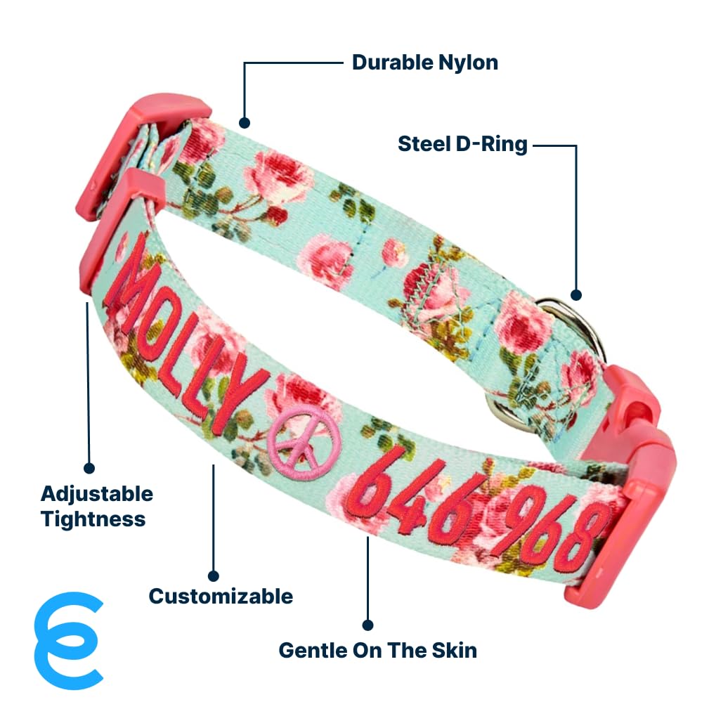 Blueberry Pet Personalized Martingale Safety Training Dog Collar - Adjustable Large Dog Collar with Custom Embroidered Pet Name & Phone Number - Perfect for Training, Walks & Outdoor Adventures (Turquoise, Large)