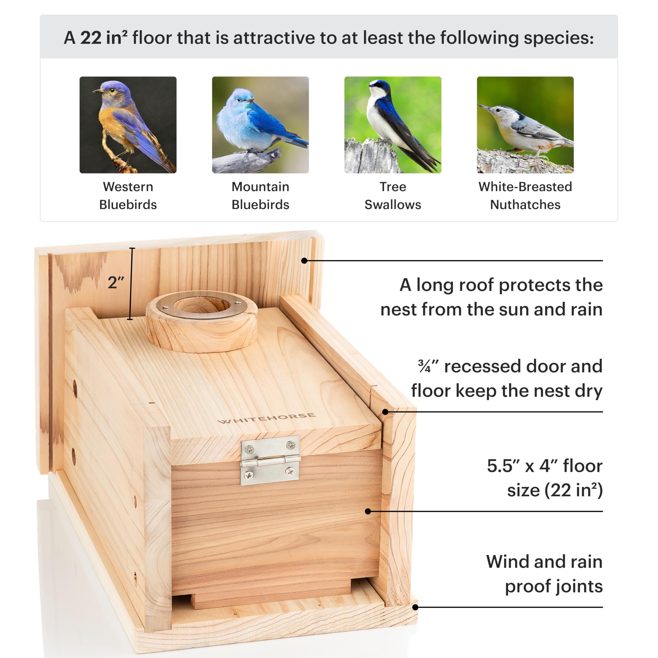 Premium Bluebird House for Outdoor Use - Cedar Wood Nesting Box Built to NABS Specs - Attracts Songbirds Like Bluebirds, Wrens & Chickadees - Weatherproof Birdhouse with 22