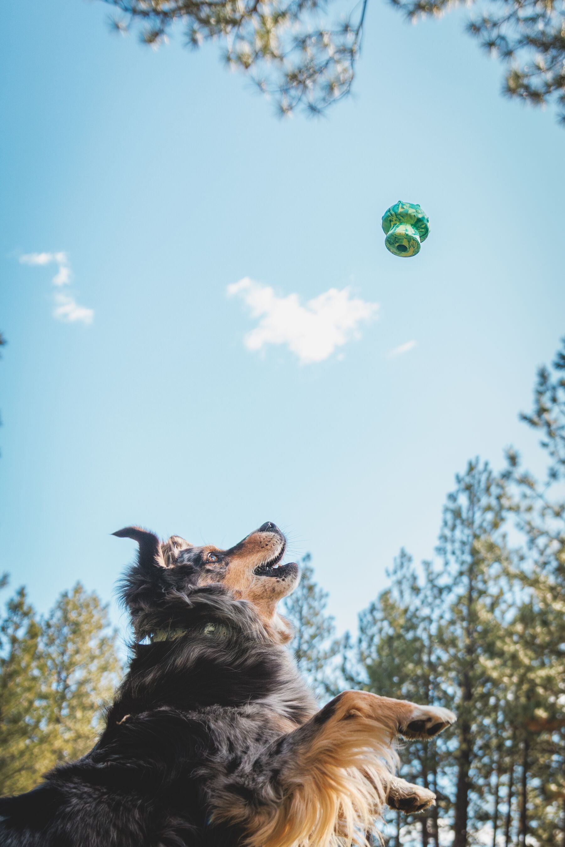 Ruffwear® Toadstool™ Dog Toy - Treat Dispenser & Fetch Toy in Gray Sky | Interactive Play for Training & Outdoor Fun