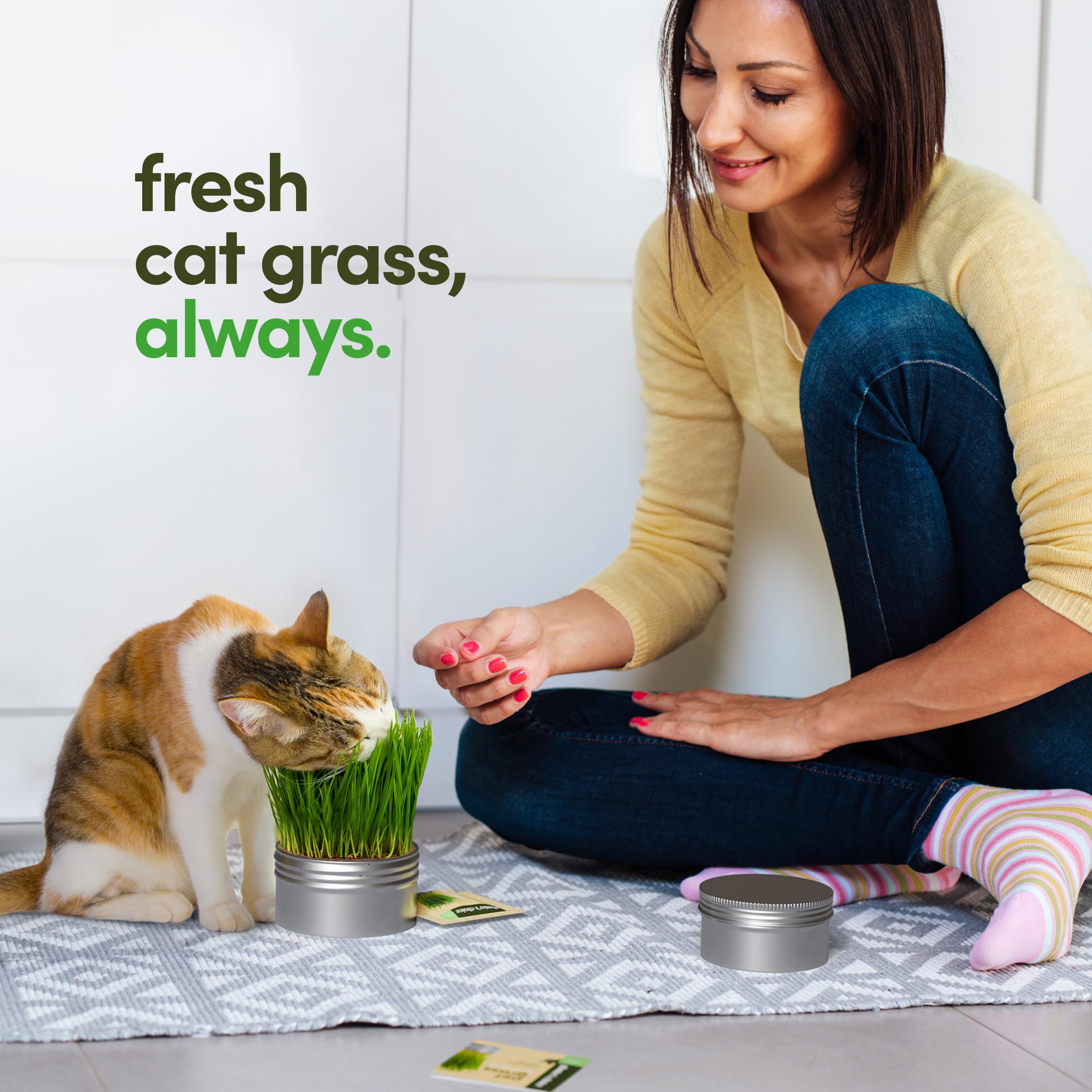 Organic Cat Grass Growing Kit for Indoor Cats - 3 Pack with Premium Seeds & Soil - Healthy Pet Grass Planter for Digestive Health - Perfect Gift for Cat Lovers (Use for Play, Digestion & Stress Relief)