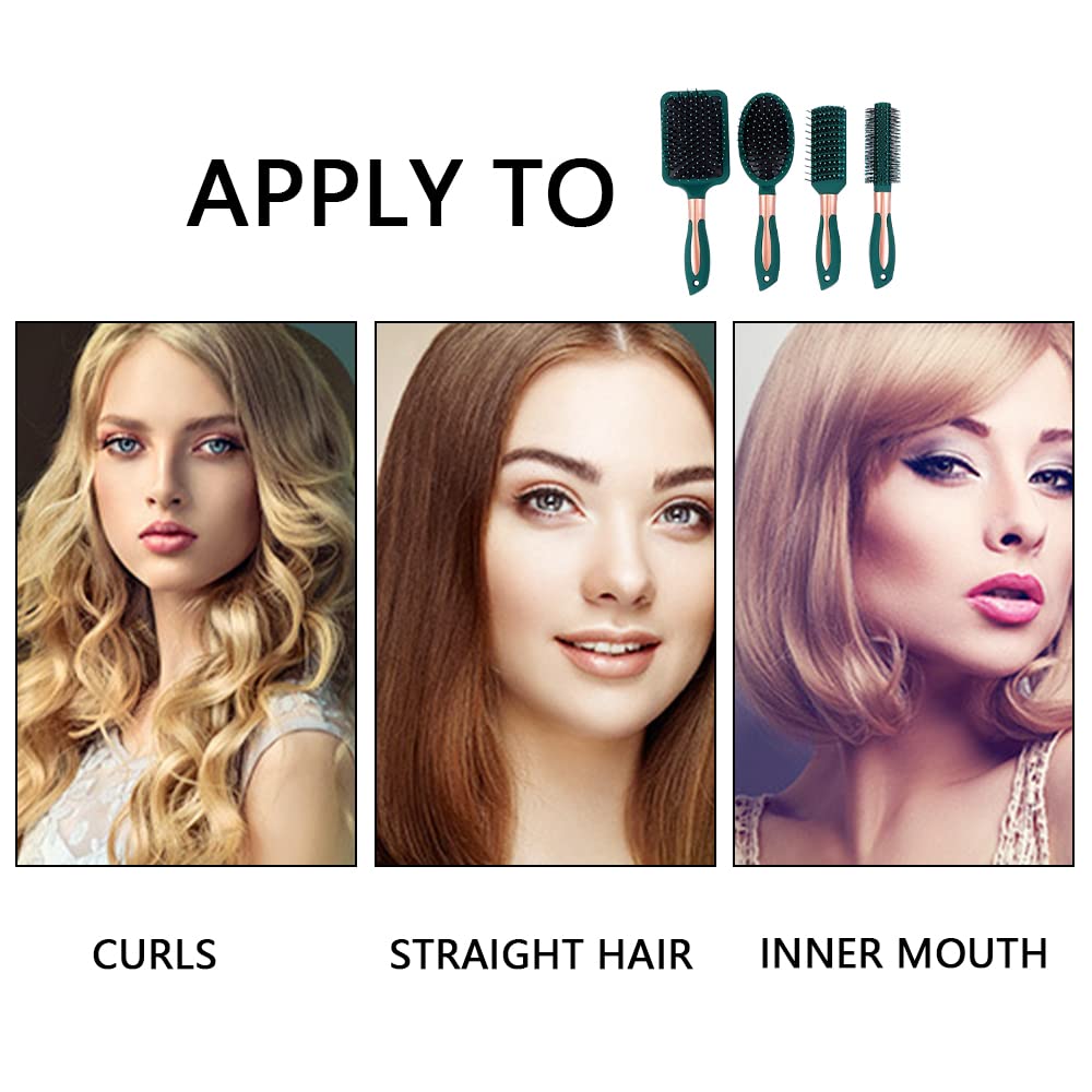 Anti Static Hair Brush Set for Women & Men - Detangling & Shine for Wet/Dry Hair at Home & Travel