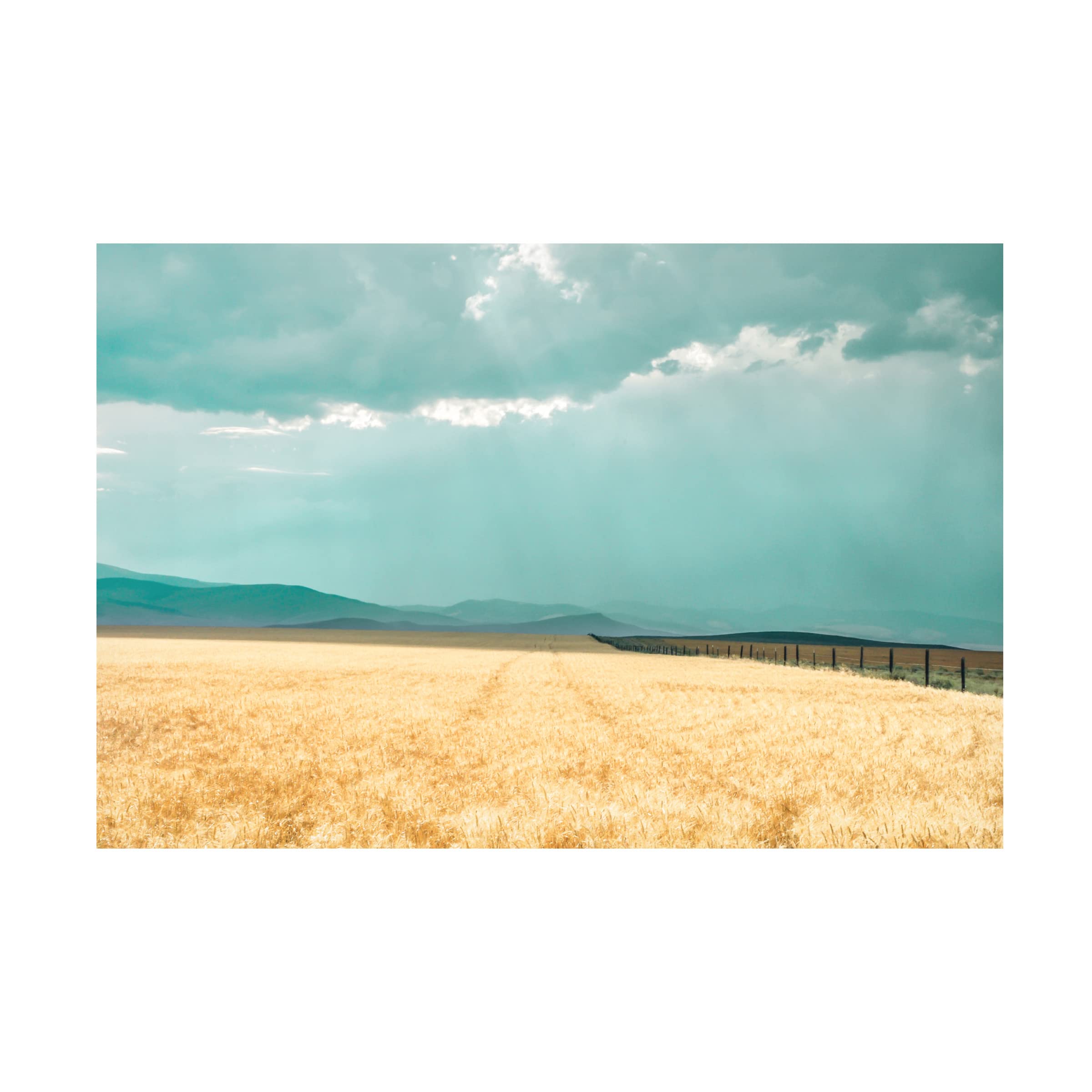 Annie Bailey Art 'Harvest Shadow' Framed Canvas Wall Art - Modern Farmhouse Decor for Living Room, Bedroom & Office