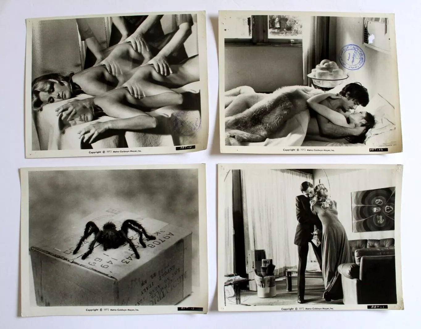Original 70s Movie Stills Photos - Set of 12 Black Belly of the Tarantula Film Collectibles for Vintage Horror Fans & Home Theater Decor