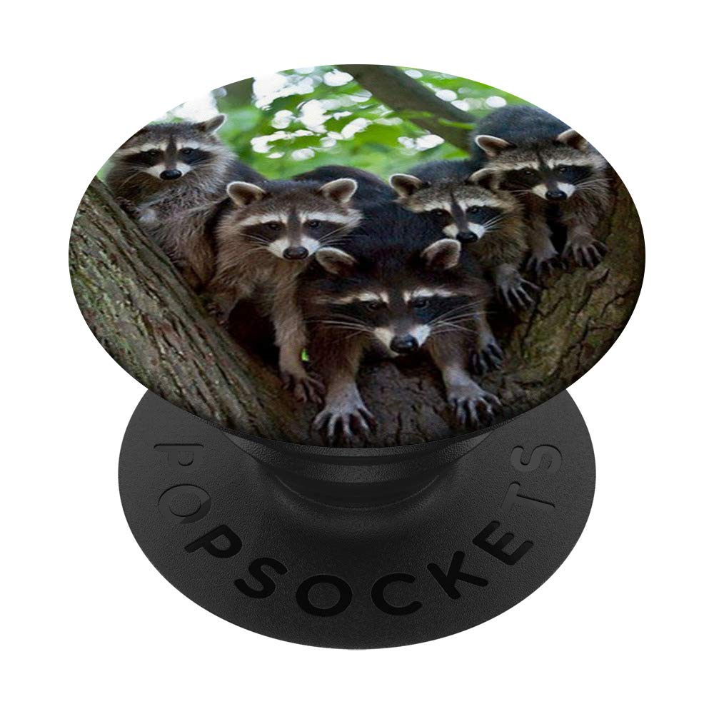 Cute Raccoon Family Pet Forest Animal PopSockets PopGrip - Swappable Phone & Tablet Grip for iPhone, Samsung - Perfect for Outdoor Adventures, Hiking & Nature Lovers