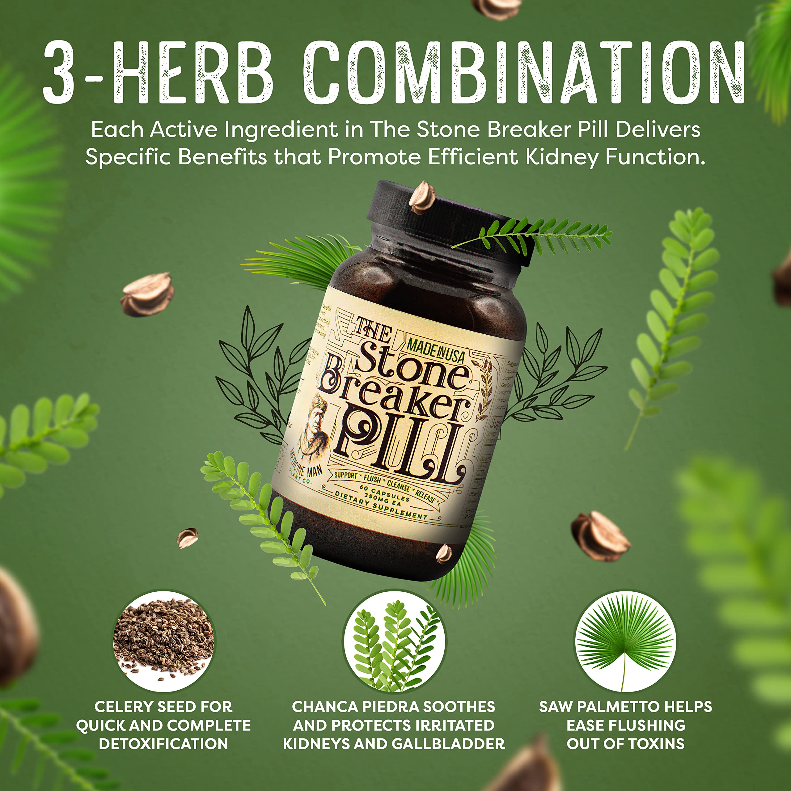 Stone Breaker Pill 60 Capsules - Natural Gallbladder & Kidney Support Supplement with Chanca Piedra, Celery Seed & Saw Palmetto - Herbal Organic Kidney Stone Dissolver - Supports Urinary Tract Health & Digestive Wellness - Perfect for Daily Kidney Care & Gallbladder Maintenance