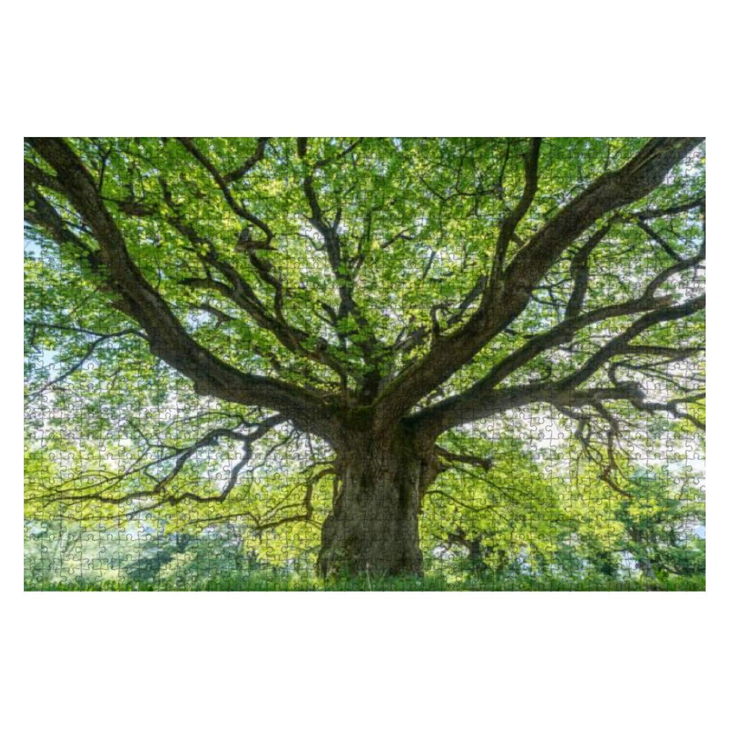 1000-Piece Wooden Jigsaw Puzzle - Majestic Old Oak Tree Shading Spring Meadow with Ancient Flowers | Educational & Stress-Relief Toy for Kids & Adults | Perfect for Family Game Night & Classroom Activities