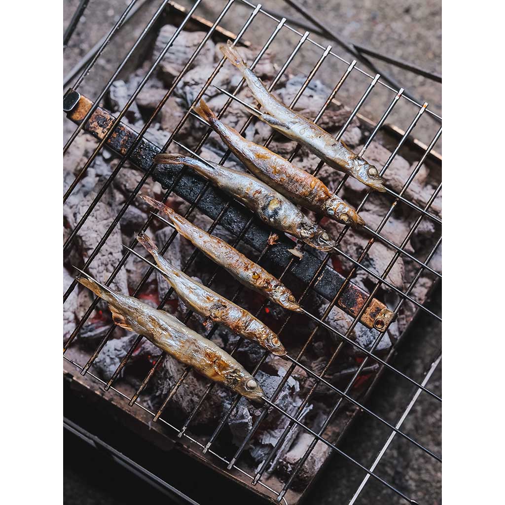 Premium Stainless Steel BBQ Grill Set with Fire Starter - Perfect for Backyard Camping, Picnics & Outdoor Cooking Adventures