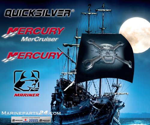 Sherwood Pump Seawater MERC Diesel - High Performance Marine Water Pump for Boats and Yachts